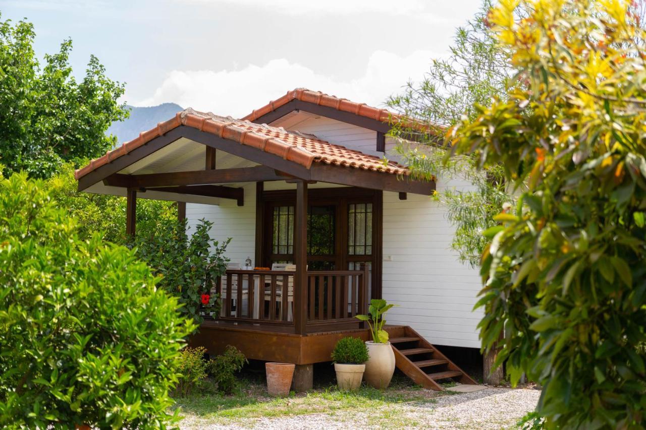 Kimera - Akdeniz Bahcesi Apart Hotel Çıralı Kültér fotó