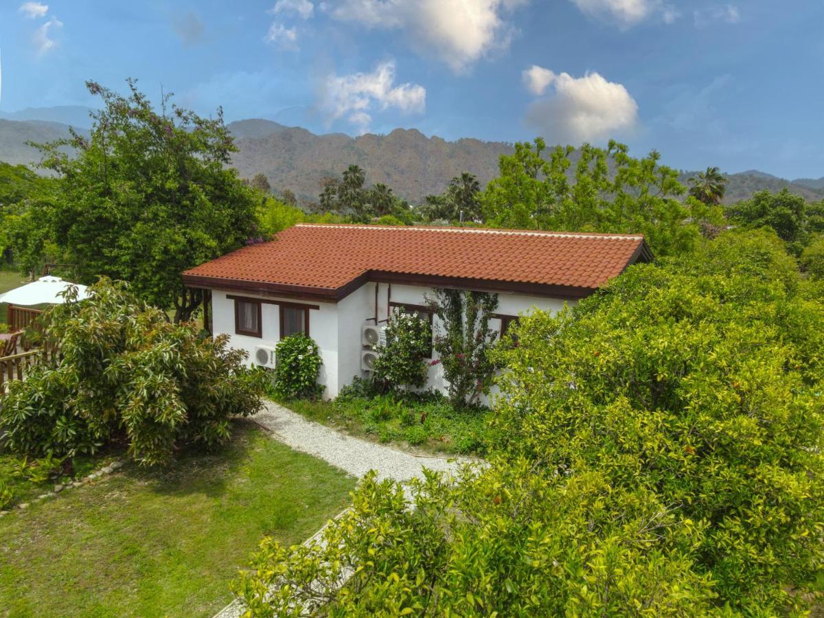 Kimera - Akdeniz Bahcesi Apart Hotel Çıralı Kültér fotó
